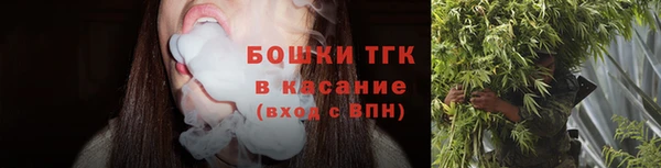 тгк Вяземский