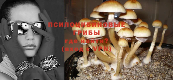 ECSTASY Волоколамск